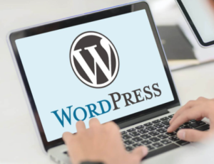 Website Development Services in Ahmedabad
